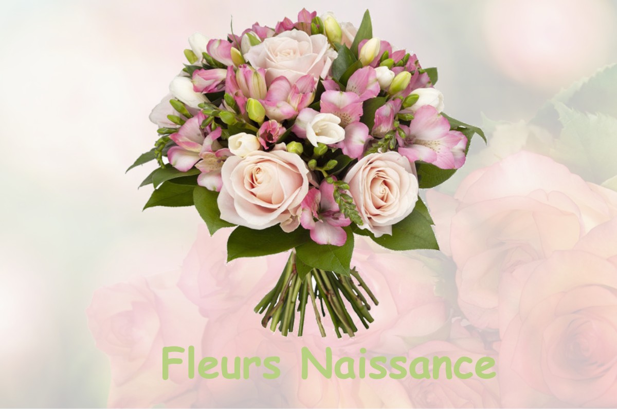 fleurs naissance SAINT-MARCELLIN